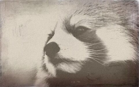 ert04-20140429063634