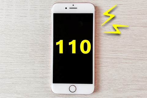 【恐怖】夫「妻が居ない…110番」→ 自宅の庭に身元不明の遺体を発見・・・