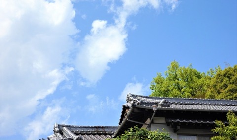 【驚愕】1人暮らし → 実家暮らしに戻した結果