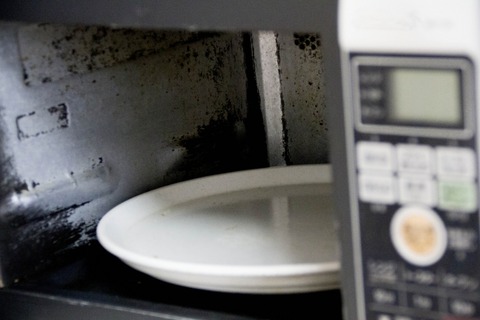 なんJ民「電子レンジは皿が回るやつを買え」ワイ「いつの時代だよw普通に動かないやつ買うわw」→結果