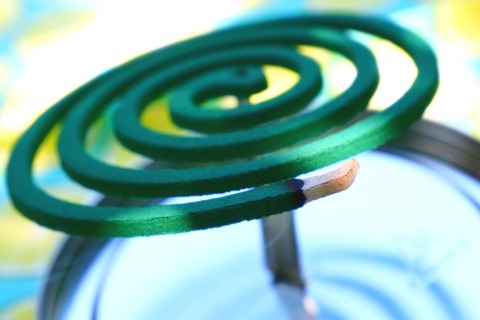 【朗報】蚊、絶滅ｗｗｗｗｗｗｗｗｗｗ