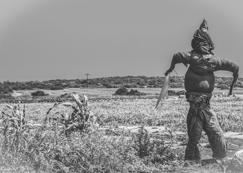 scarecrow-3696950_1280