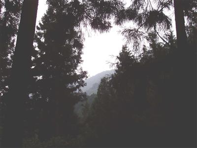111