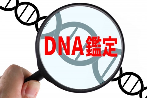 【悲報】人妻さん「妊娠したみたい」男さん、「本当に俺の子？DNA検査をしよう」→結果ｗｗｗｗｗｗ