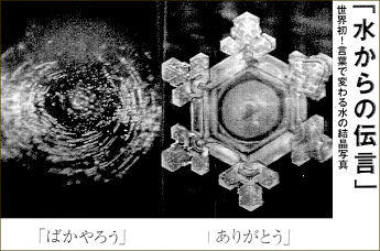 137500986359913204877