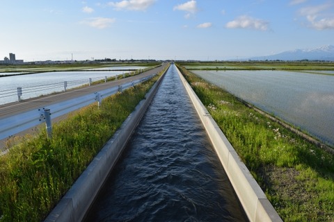 【画像】初見殺しの用水路、見つかるｗｗｗｗｗｗ