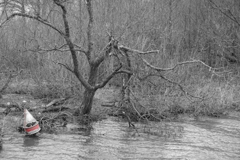 【閲覧注意】こういう「死を覚悟する画像」、エグすぎる・・・