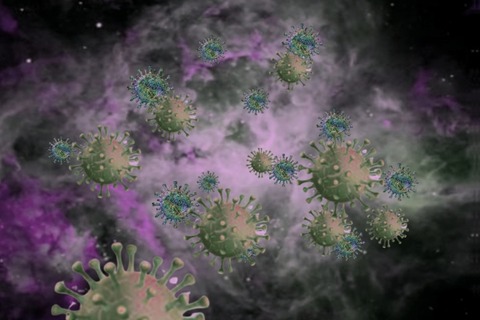 【悲報】第一類感染症、スーパースター揃いだった・・・