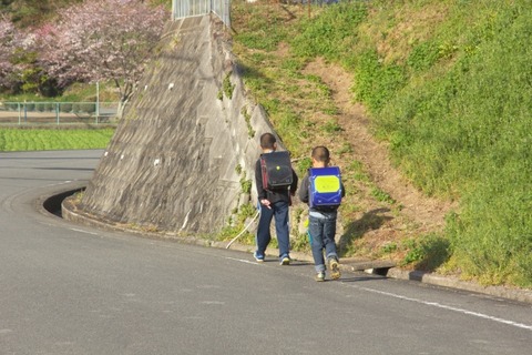 【画像】小学生の頃、下校途中に食べていたこの得体の知れない謎の果物ｗｗｗｗｗｗ