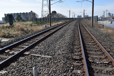 【悲報】女さん「いやあああ！飼い猫が線路に逃げたのに電車進行させたのおおお！！！」→
