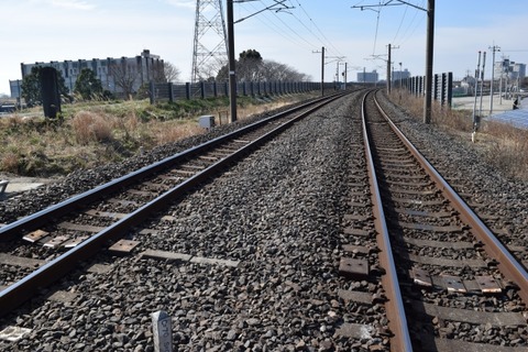 【悲報】女さん「いやあああ！飼い猫が線路に逃げたのに電車進行させたのおおお！！」→