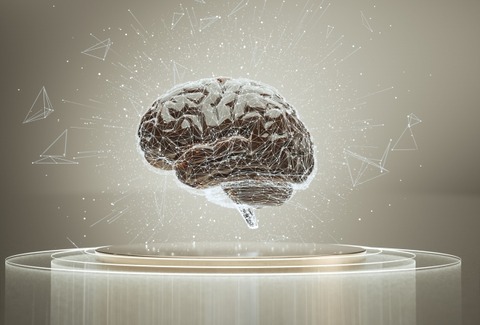 人間「人の脳食ったら死にます」←これ、地味に怖くね？