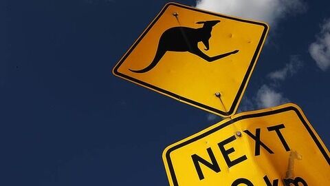 kangaroo-sign_729-620x349