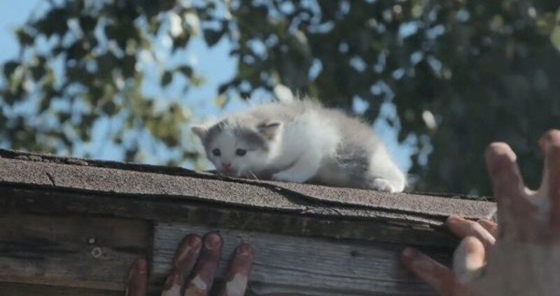 no title