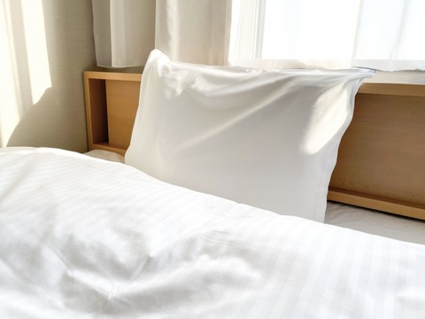 【画像】ニトリさん、とんでもない枕を発売してしまうｗｗｗｗｗ