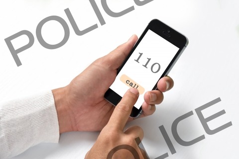 彡(ﾟ)(ﾟ)「ピザ注文おねがいします」警察「間違えてない？」彡(^)(^)「間違えてません、お願いします」→