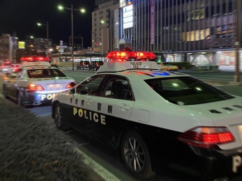 【悲報】アンドロイドのお姉さん、逮捕されてしまう・・・・