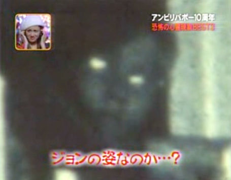 get_image