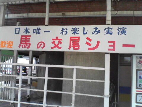 2011050502383427a