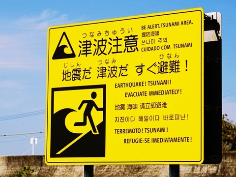 【閲覧注意】“本物”の津波、ガチでエグい……（動画あり）