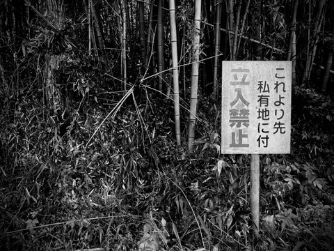 【閲覧注意】TBSの心霊番組『ロケ中に本物の幽霊映っちゃったので放送ではカットしました！！』