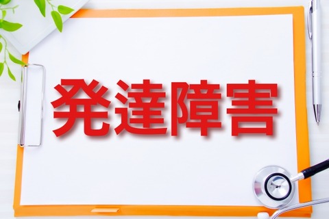 【悲報】発達障害の女と結婚した男、悲惨すぎるｗｗｗｗｗｗｗｗｗｗｗｗｗｗ