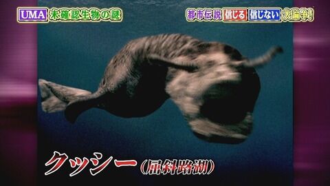 fidol2-140611102057-pv2