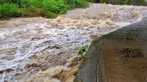 【玄倉川水難事故】「警報鳴ってるけどキャンプ続けても大丈夫でしょｗ」「逃げろとかうるせえな！殴るぞ！！」→