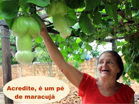 Maracuja