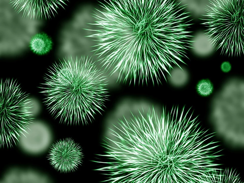 bacteria-426997_960_720