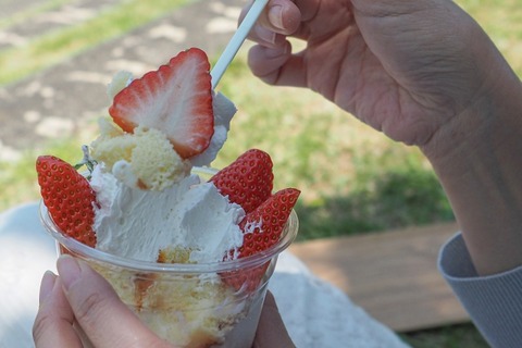 【画像】アメリカのパフェ、ガチでヤバいｗｗｗｗお前らの想像の5倍はヤバいｗｗｗｗｗ