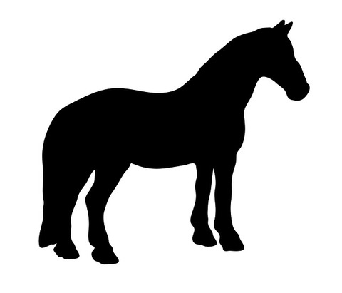 horse-163558_640