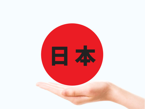 【悲報】日本政府「すまん、この国ガチでやばいかも……」