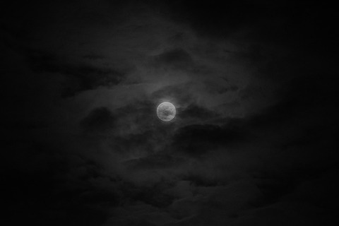 to-gaze-eternally-wondering-5141837_640