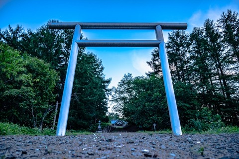 22298294_s