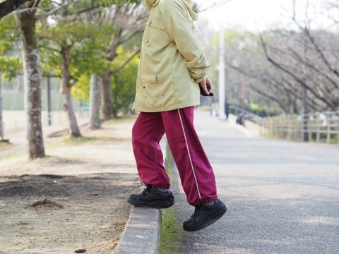 【衝撃】踏み台昇降の効果、ガチでヤバすぎるｗｗｗｗｗｗｗｗ