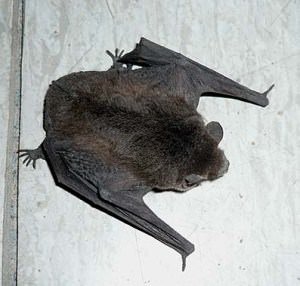 no title