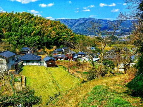 ワイ、部落差別が本当にあると知り驚愕・・・・