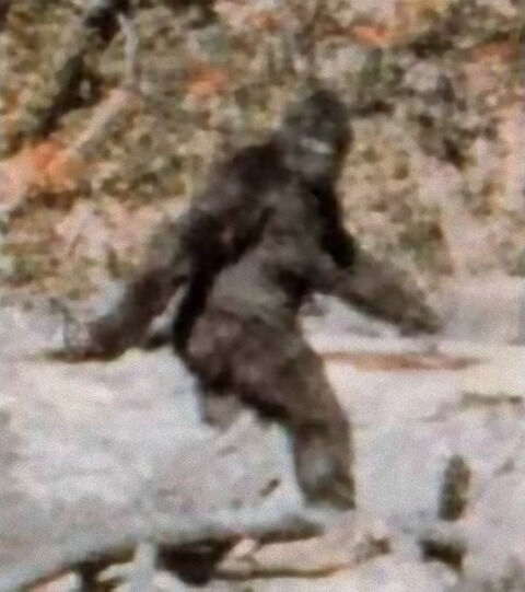 YtZjkM9