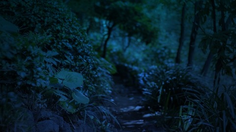 クッソキモい鹿みたいな外来種「キョン」、お前らの想像の5倍はキモい（動画あり）