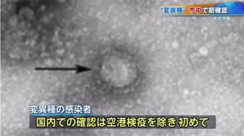news4161557_50