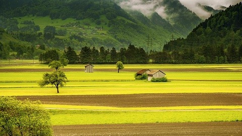 field-g50827edbb_640