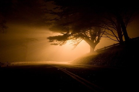 landscape-696825_640