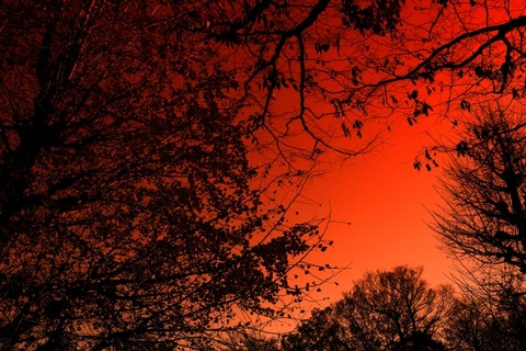 【閲覧注意】彡(^)(^)「ツチ族フツ族？なんやカワイイ民族やな…殺害したろ！」・・・結果