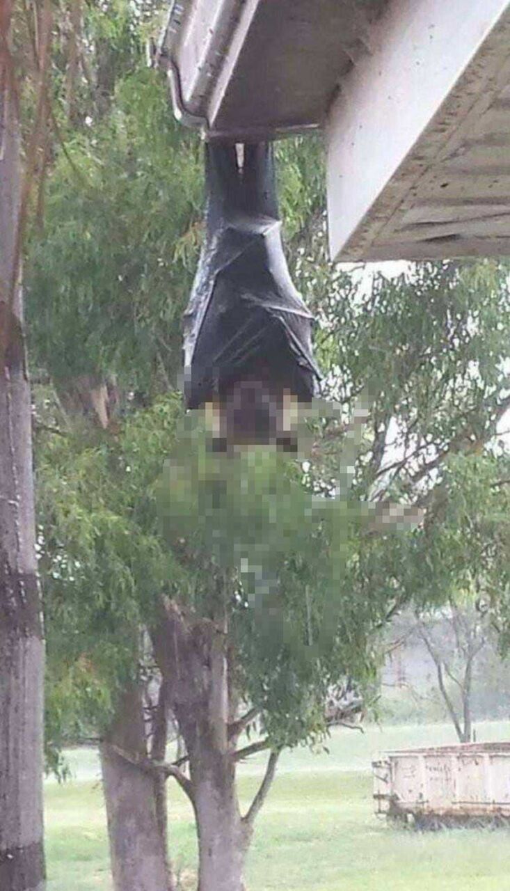 no title