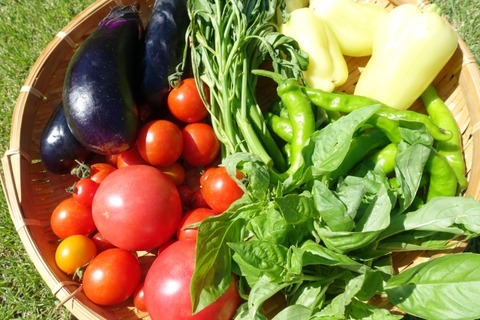 ヴィーガン「肉を食べる人って人類より強い生物がいたら自分が家畜にされてもいいんだよね」