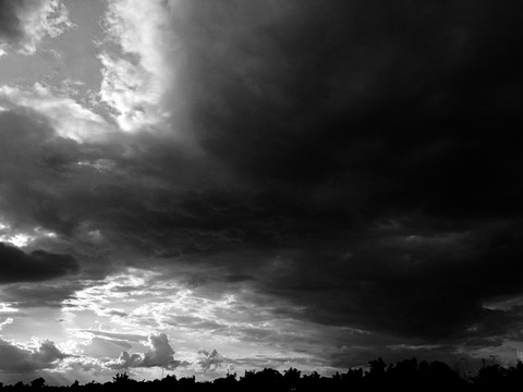 【悲報】JCのなりたい職業ランキング、終わってるｗｗｗｗｗｗｗ