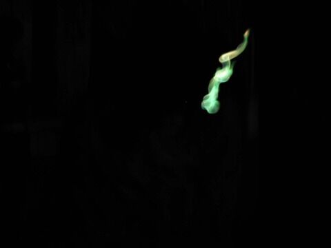 IMG_2798x