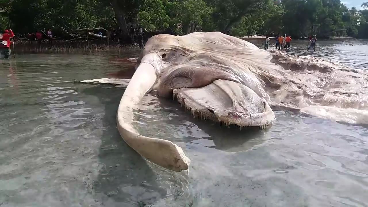 no title