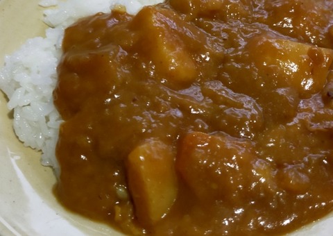 【画像】ゴミ清掃員「カレーを捨てないで。こうなるから…」